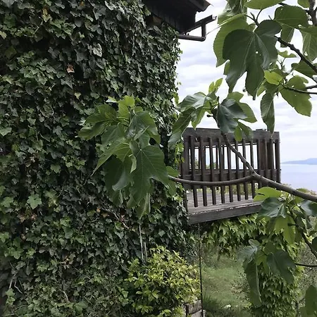 Charismatic Garden With Sea View * ロクヴァ・ロゴズニツァ