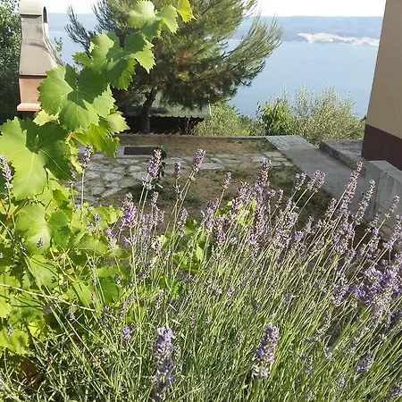 Landhaus Charismatic Garden With Sea View *