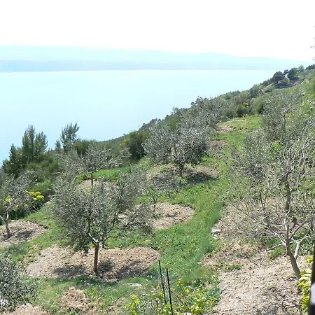 Charismatic Garden With Sea View
