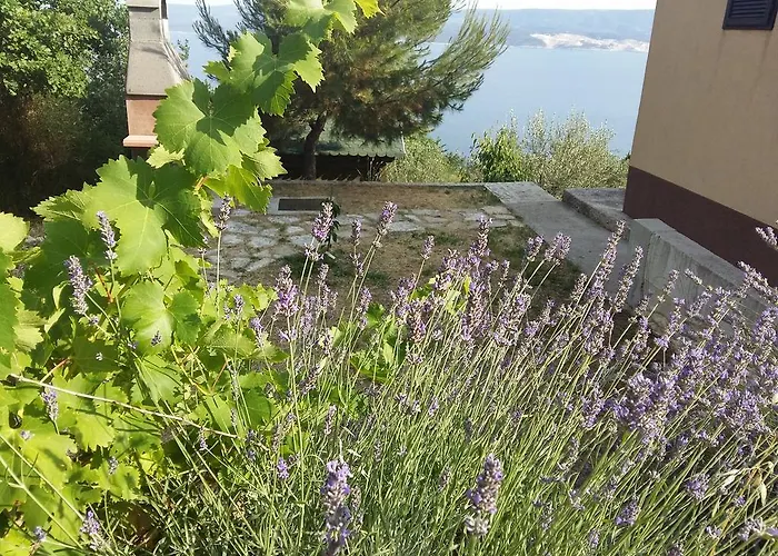 Landhaus Charismatic Garden With Sea View *