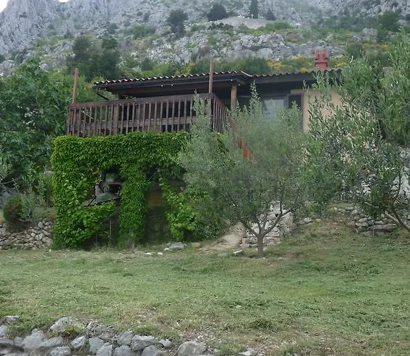 Charismatic Garden With Sea View *