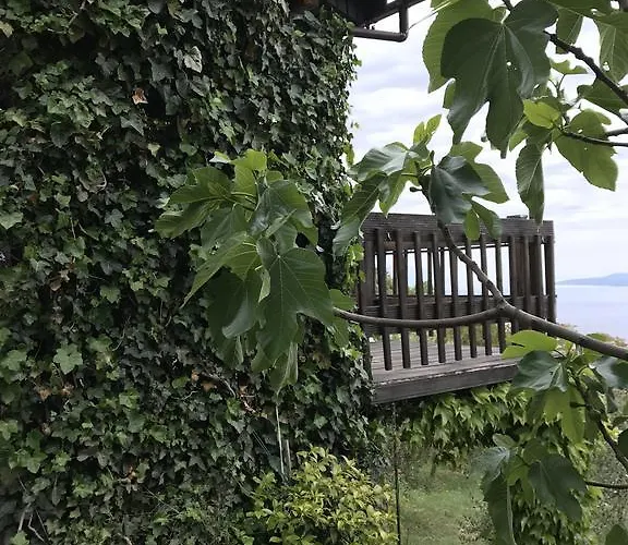 Charismatic Garden With Sea View * Lokva Rogoznica